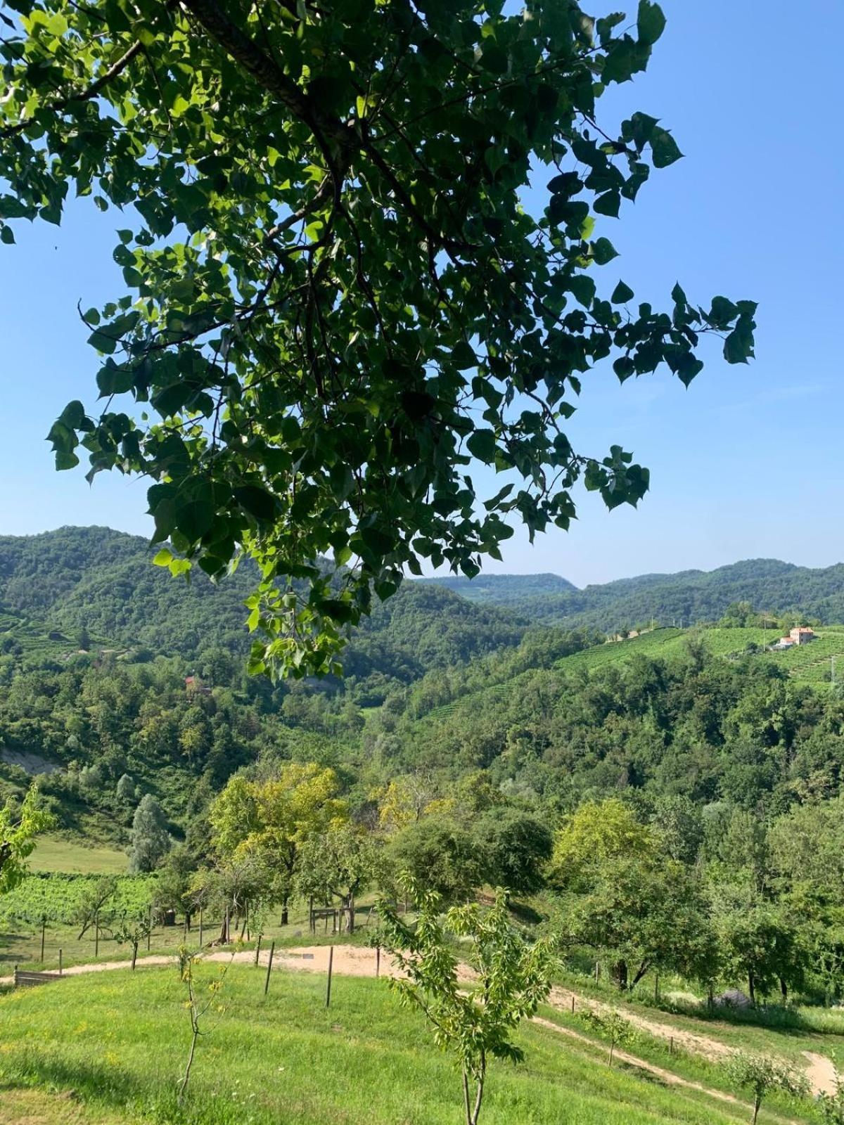 Agriturismo Le Noci Tarzo Bagian luar foto
