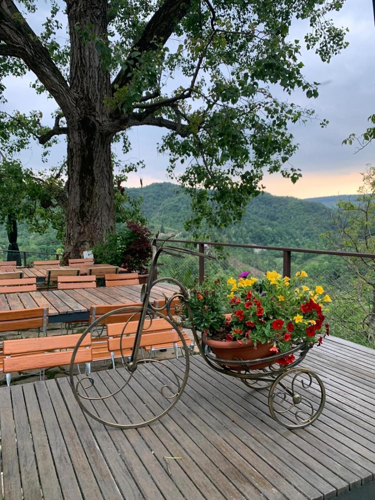 Agriturismo Le Noci Tarzo Bagian luar foto
